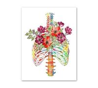 Flor cerebro corazón cráneo riñón esqueleto anatomía carteles lienzo impreso pintura pared arte imagen clínica médica habitación decoración del hogar(5,15x20 cm No Frame)