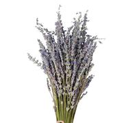 Flor de Lavanda Seca | Flores Secas Elegantes para Florero Hermoso, Planta Símbolo Inmortal del Amor la decoración Boda Inauguración casa hogar Oficina ho
