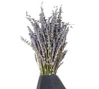 Flor de lavanda seca - Lavanda seca | Flores preservadas de lavanda, manojo de lavanda seca natural, manojo de lavanda decorativo, planta de lavanda símbolo inmortal de amor para decoración de bodas