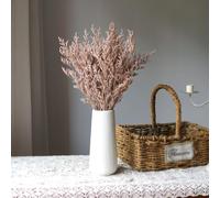 Flor de limonio preservada, Caspia Bellidifolium, hierba de amante, hierba inmortal, flores naturales puras para decoración del hogar de boda, decoración de fiesta de boda (marrón claro)