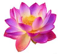 Flor de loto que brilla en la oscuridad adhesivo de pared para decoración de interiores en espejo de baño azulejos vidrio superficies lisas PVC decoración del hogar (A rosa)