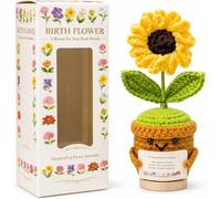 Flor de nacimiento de ganchillo en maceta, regalo de noviembre para mujer mamá deco