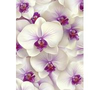 Flor Diamond Painting Kit Completo, 5D Diamond Painting Flor Pintura Diamante Niños DIY Cristal Strass Punto de Cruz Manualidades Puzzle Diamantes Adultos para Decoración Hogar Regalos 60x80cm b7-113