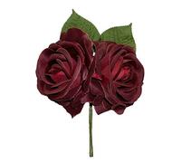 FLOR FLAMENCA (Burdeos)