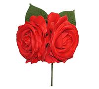 FLOR FLAMENCA (Coral)