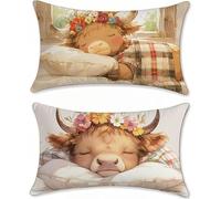 Flor Funda Cojin 60x90 Vaca Funda Almohada Juego de 2 Terciopelo Cojines Infantiles Cojines Cama Decorativos Rectangular Fundas Cojin Pillow Case Exterior Impermeable, Home Decoration s-398