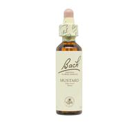 Flor nº 21 Mustard 20ml Bach