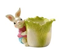 Flor pequeña para suculentas y cactus, jardín creativo, conejo, animal, carnoso, maceta, resina, maceta, balcón, jardín, al aire libre, plato creativo en forma de corazón para plantas de interior