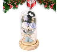 Flor preservada, decoración floral preservada, exquisita flor eterna | Flor preservada hecha a mano en cúpula de con luces LED, rosa para el día de San Valentín de las mujeres, flor de seda