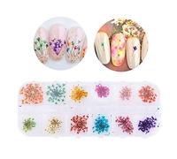 Flor Seca De Uñas Naturales Gel Acrílico UV Gel De Flores Secas Consejos De Diseño De Uñas Decoración De Bricolaje Accesorios De Arte De Uñas(01)