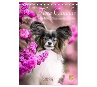 Flora Canidae - der Hunde-Blühpflanzen-Kalender (Tischkalender 2026 DIN A5 hoch), CALVENDO Monatskalender: Hunde und blühende Pflanzen streicheln die Seel, sie machen glücklich!