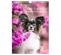 Flora Canidae - der Hunde-Blühpflanzen-Kalender (Wandkalender 2026 DIN A4 hoch), CALVENDO Monatskalender: Hunde und blühende Pflanzen streicheln die Seel, sie machen glücklich!