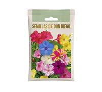 Floración Abundante en Jardín o Maceta con Don Diego | Semillas Ornamentales DECOALIVE