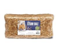 Floracraft Pala de Paja 15,2 x 12,7 x 33 cm, Natural