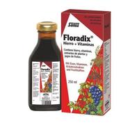 Salus Pharma Suplemento de Hierro y Vitaminas Floradix 250 ml – Reduce cansancio y fatiga