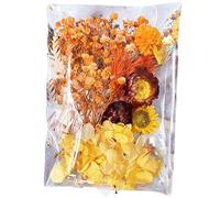 Floral Craft Supplies - Preserved Dry Flowers, Decorative Wedding Ornament, Multi-Purpose Flower Kit | Journaling & Card Making Material, Ideal Application for Home Office Bedroom Table Décor
