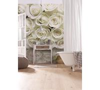 Floral Mural para Pared Rosas Foto Papel Pintado 366x254cm Flores Pintado Blanco