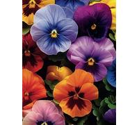 Floral Paperback Journal -100 Unlined/Unruled Pages for Writing, Sketching, and Creative Reflection, 8.25 x 11 Pansies