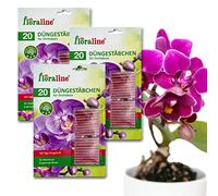 floraline® 60 varillas de fertilizante para orquídeas para hasta 100 días (por varilla), flores magníficas con crecimiento y flores saludables, aplicación suave