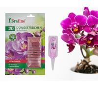 floraline® Fertilizante para orquídeas: 20 varillas y 1 set Vitalkur para hasta 3 meses de magníficas flores con crecimiento y flores saludables | aplicación suave