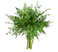 Floralsecret 10 plantas artificiales de helecho Boston, tallos de eucalipto para el hogar, jardín, oficina, arreglos florales, centros de mesa, decoración interior y exterior