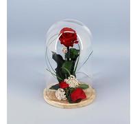 Floranet Rosa Roja Eterna Preservada en Cúpula de Cristal (26cm) - Regalo Romántico para San Valentín, Sant Jordi y Día de la Madre
