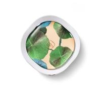 Florasis - Water Lily Balancing Cushion Foundation (Ode to Embroidery) - 2 Shades N30 Bathing Beauty