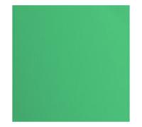 Florence Cardstock Cuadrado de 216 Gramos/m², 30,5 x 30,5 cm, 20 Unidades, Textura, para álbumes de Recortes, Tarjetas, Troquelado y Otras Manualidades de Papel, Verde, 30.5x30.5cm