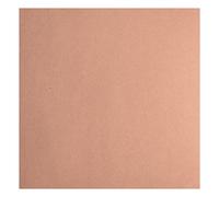 Florence Lote Kraft Oscuro, 216 Gramos/m², cuadradas, 30,5 x 30,5 cm, 20 Unidades, para álbumes de Recortes, Tarjetas, Troquelado y Otras Manualidades de Papel, Marrón Fuerza, 30,5x30,5cm