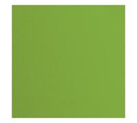 Florence Cardstock-Papel de 216 Gramos/m² Cuadrado (30,5 x 30,5 cm, 20 Unidades), Color Verde, Grün, 30.5x30.5cm