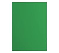 Florence Cardstock Smooth - Suministros para hacer tarjetas de colores, A4, verde, 10 hojas, papel de colores para álbumes de recortes, tarjetas, troquelado y manualidades de papel, 216 g/m², acebo