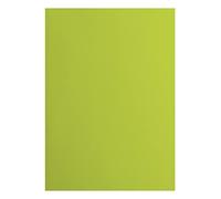 Florence Cardstock Smooth - Suministros para hacer tarjetas de colores, A4, verde, 10 hojas, papel de colores para álbumes de recortes, tarjetas, troquelado y manualidades de papel, 216 g/m², color
