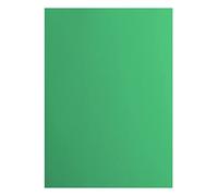 Florence Cardstock Smooth - Suministros para hacer tarjetas de colores, A4, verde, 10 hojas, papel de colores para álbumes de recortes, tarjetas, troquelado y manualidades de papel, 216 g/m²