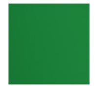 Florence Cardstock Textured - Suministros para hacer tarjetas de colores, 30,5 x 30,5 cm, verde, 20 hojas, papel de colores para álbumes de recortes, tarjetas, troquelado y manualidades de papel, 216