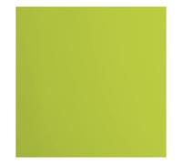 Florence Cardstock-Papel cuadrado (216 gramos/m², 30,5 x 30,5 cm, 20 unidades), color verde, 30.5 x 30.5 cm