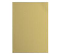 Florence - Cartulina de arcilla, salamandra beige, cartón para manualidades, A4, papel para manualidades, 10 unidades, para tarjetas, manualidades, troquelado y manualidades de papel, juego de