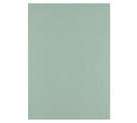 Florence Cartulina de lino verde 250 g, papel de colores A4, iguana, fabricación de tarjetas, suministros de álbumes de recortes, resistente al desgarro, crea elegantes invitaciones, cajas de regalo y