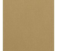 Florence Cartulina de tono, cacahuete marrón, cartón para manualidades, A4, papel para manualidades, 10 unidades, para tarjetas, manualidades, troquelado y manualidades de papel, juego de manualidades
