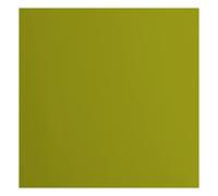Florence Cardstock-Papel Cuadrado (216 Gramos/m², 30,5 x 30,5 cm, 20 Unidades), Color Verde, Grün, 30.5 x 30.5 cm