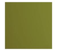 Florence Lote de 20 álbumes de recortes, tarjetas, troquelado y otras manualidades de papel, color verde, 216 gramos/m², 30,5 x 30,5 cm, 30.5 x 30.5 cm