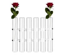 Florero con bisagras - Jarrones de tubo de ensayo de vidrio hidropónico transparente | 6 uds/8 Uds centros de mesa de boda, jarrones decorativos con gancho y cepillo, soporte moderno para plantas para