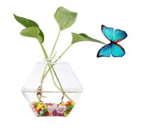 Florero de Cristal Montado en la Pared para Plantas Hidropónicas, Florero Colgante, Contenedor de Acuario para Decoración del Hogar (Maleficio)
