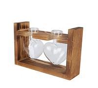 Florero, macetero de Escritorio de Vidrio, Kit de terrario para Plantas, estación de propagación de Escritorio, florero de Vidrio con Soporte de Madera para decoración de Bodas (Marco Retro + 1