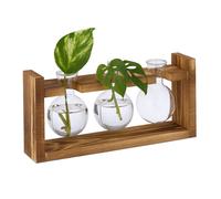 Floreros Jarrón de cristal Jarrón hidropónico Floreros con soporte de madera