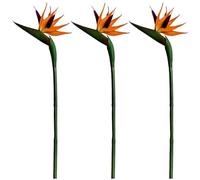 Flores Artificiales, 3pcs Fake Bird of Paradise Plant, Simulation Bird of Paradise Flores Artificiales, plástico de plástico Blando PVC Realistic Heaven Faux Plants para decoración de la Mesa de Boda