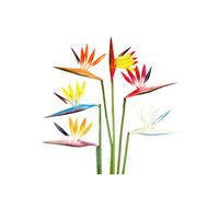 Flores artificiales de 6 colores, 6 unidades, flor permanente de 23 pulgadas, flores de imitación tropical Strelitzia, ramos de flores para decoración de oficina, hogar, plantas en maceta, multicolor