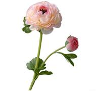 Flores artificiales de doble ranúnculo para invitación de boda, decoración de tocador para el hogar y elementos de fondo de historia de redes sociales (rosa)
