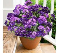 Flores artificiales de geranio para decoración al aire libre, 6 paquetes de flores de geranios de seda resistentes a los rayos UV, plantas artificiales reales para puerta delantera, jardín, porche