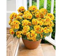 Flores artificiales de geranio para decoración al aire libre, 6 paquetes de flores de geranios de seda resistentes a los rayos UV, plantas artificiales reales para maceta exterior, puerta delantera