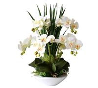 Flores Artificiales Flores Flor Artificial Orquídeas de PU Artificial 7 Ramas Flores Artificiales Flores con jarrón Floral Falso 50Cm Orquídea sintética (B